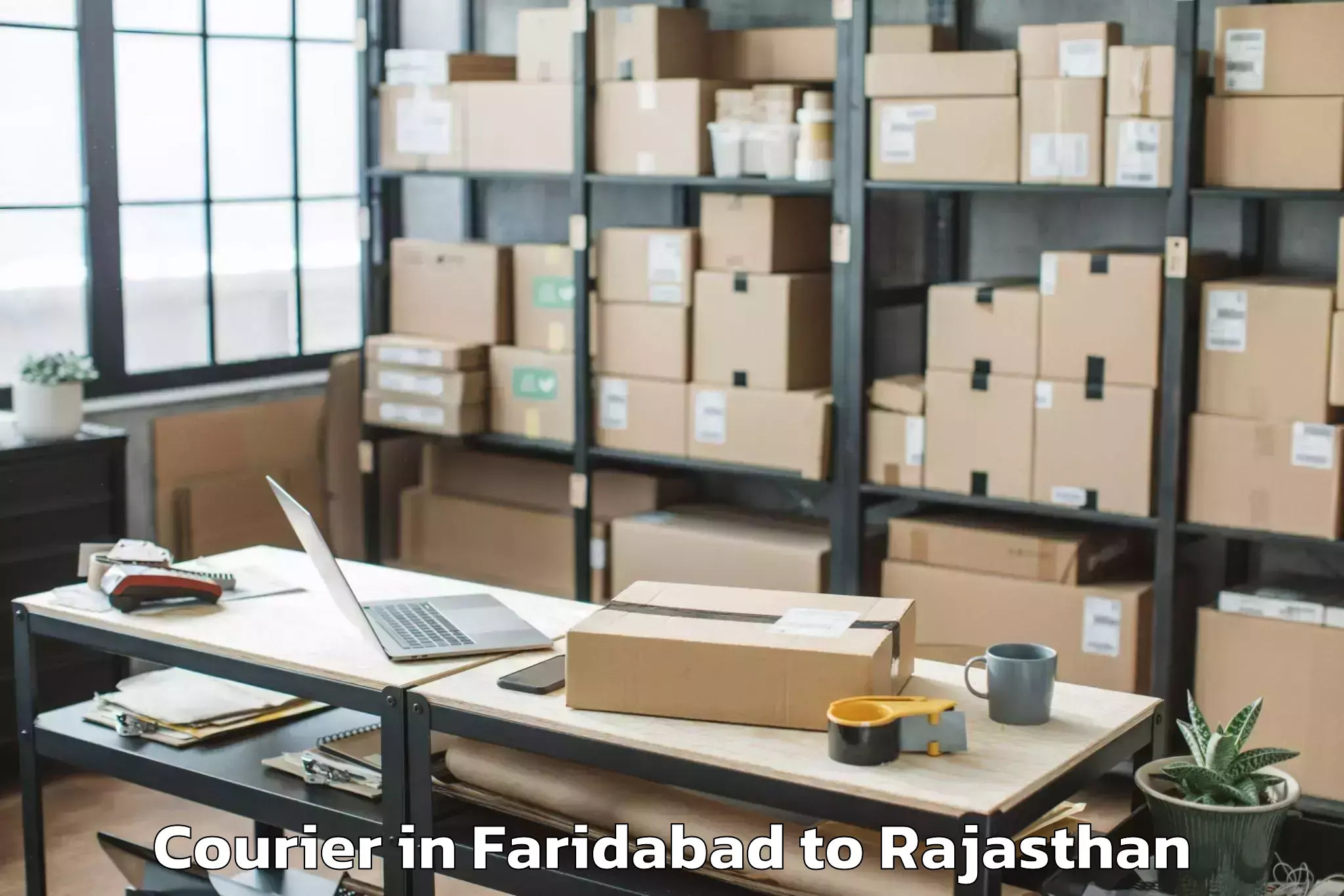 Professional Faridabad to Chittorgarh Courier